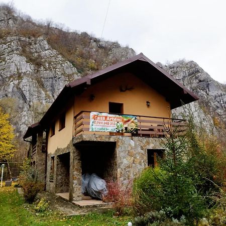 Casa Artemi Ξενοδοχείο Remeţi Εξωτερικό φωτογραφία