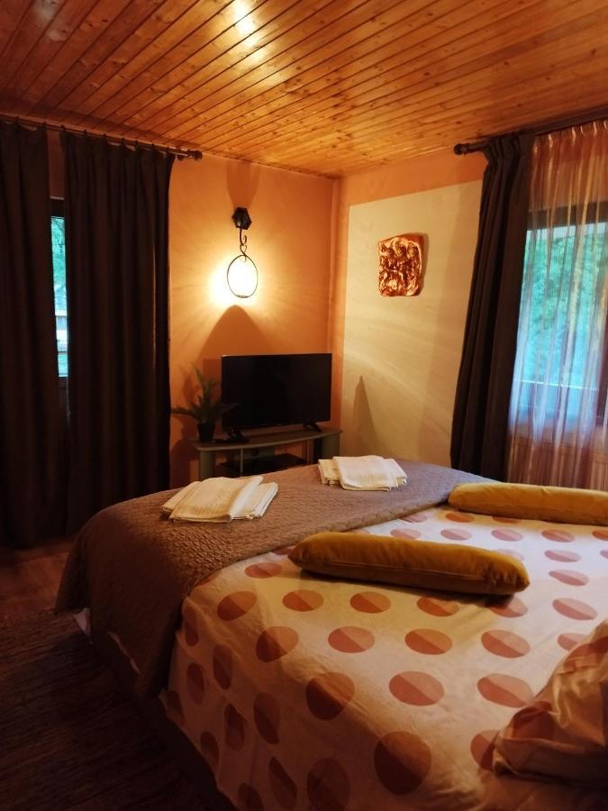 Casa Artemi Ξενοδοχείο Remeţi Εξωτερικό φωτογραφία