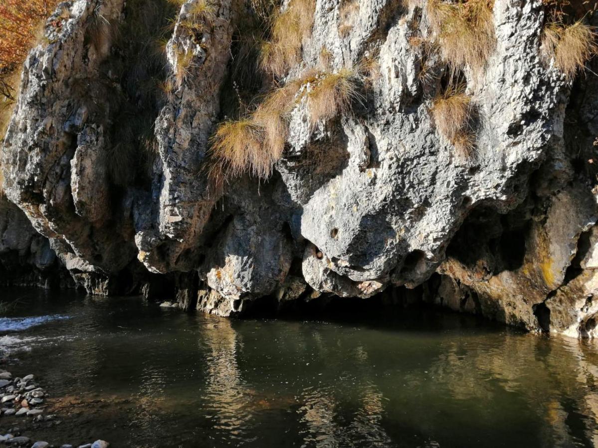 Casa Artemi Ξενοδοχείο Remeţi Εξωτερικό φωτογραφία