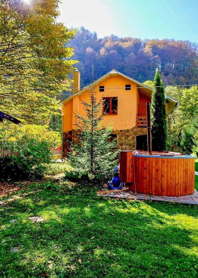 Casa Artemi Ξενοδοχείο Remeţi Εξωτερικό φωτογραφία