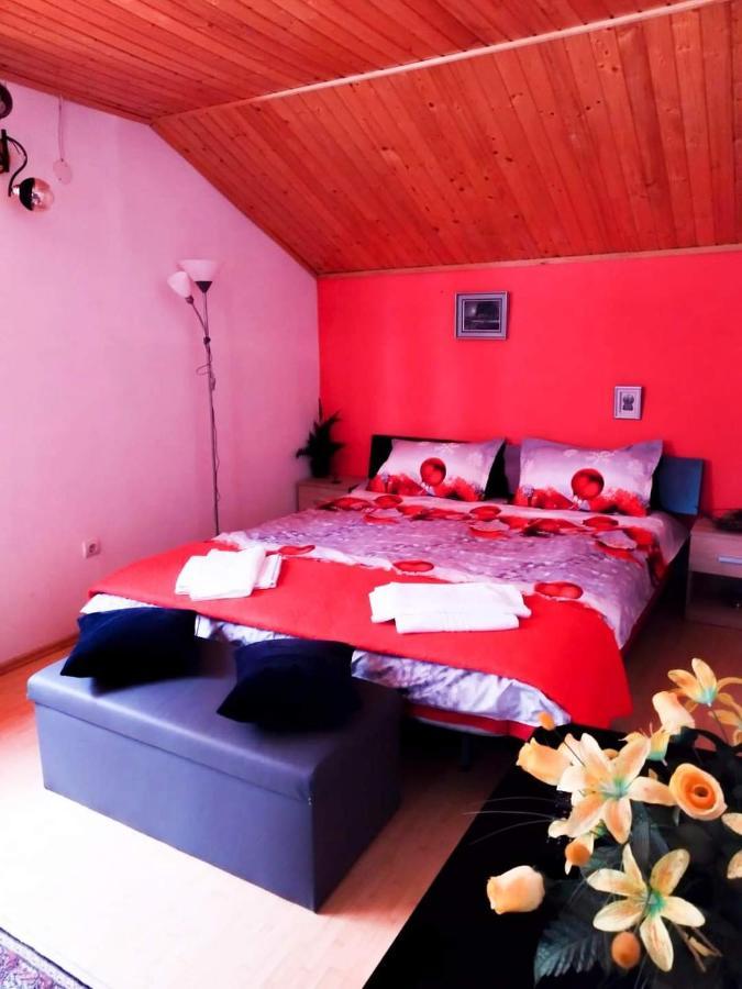 Casa Artemi Ξενοδοχείο Remeţi Εξωτερικό φωτογραφία