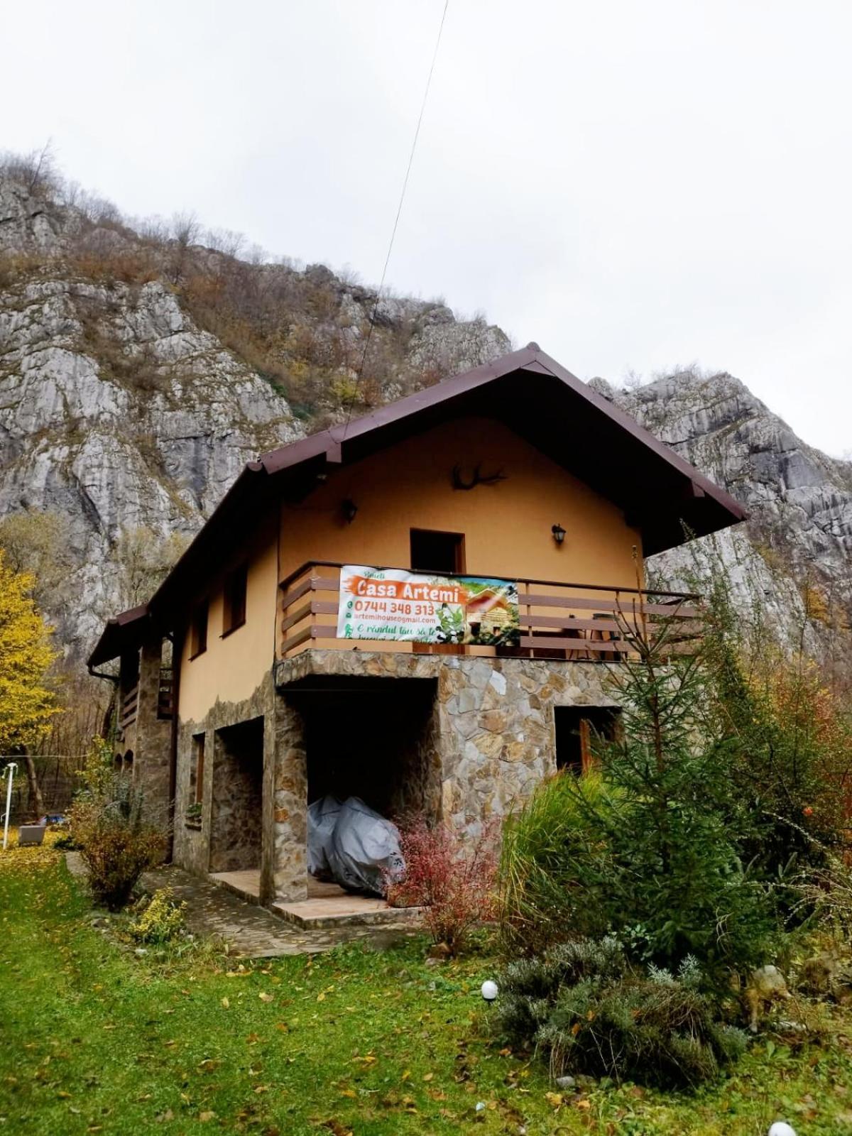 Casa Artemi Ξενοδοχείο Remeţi Εξωτερικό φωτογραφία